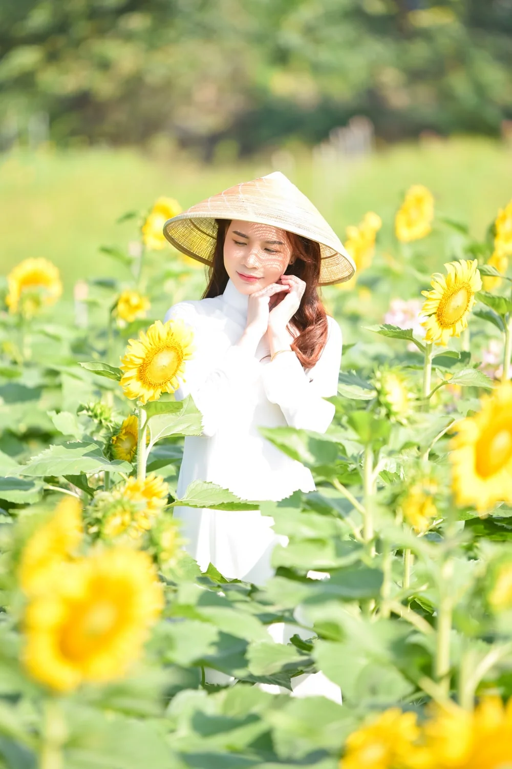 Anh ao dai dep 18 min.jpg - Cánh đồng hoa hướng dương tuyệt đẹp giữa Sài Gòn