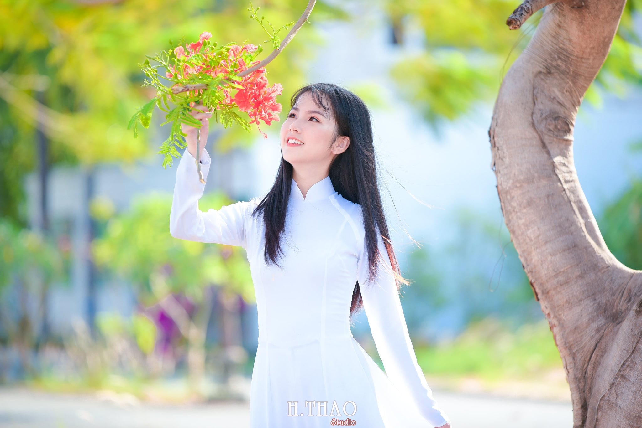 Bộ hình nữ sinh chụp với hoa phượng ở Sài Gòn tuyệt đẹp – HThao Studio ao dai quan 2 15 - Bộ hình nữ sinh chụp với hoa phượng ở Sài Gòn tuyệt đẹp – HThao Studio