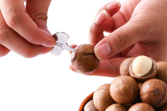 Anh SP hat 7 min 585x390 - HThao Studio, địa chỉ uy tín chụp ảnh sản phẩm chuyên nghiệp tại Tp.HCM